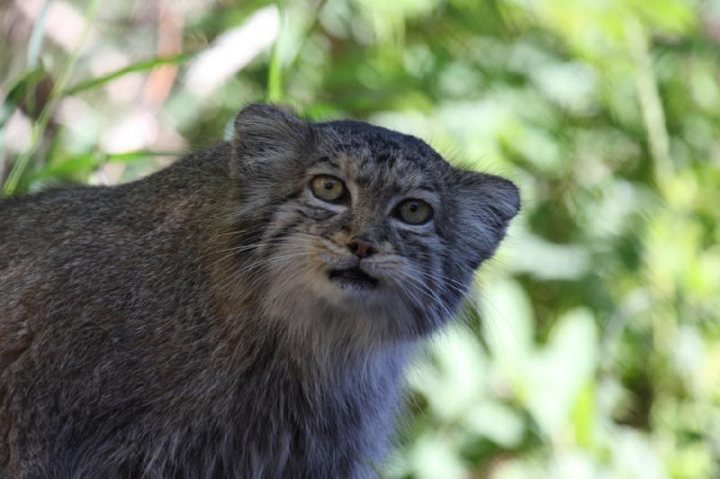 2011-07-16 08:13:13 ** Utah, Zoo ** 