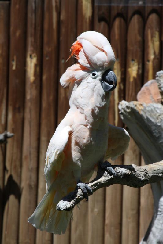 2011-07-15 14:50:50 ** Utah, Zoo ** 