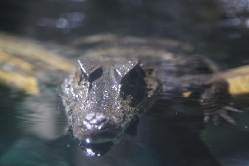 2011-01-22 10:54:50 ** Aquarium, Utah, Zoo ** 