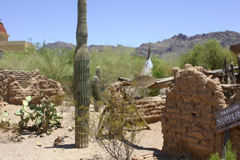 2006-06-17 11:45:46 ** Kaktus, Tucson ** Filmkulisse in 'Old Tucson'.