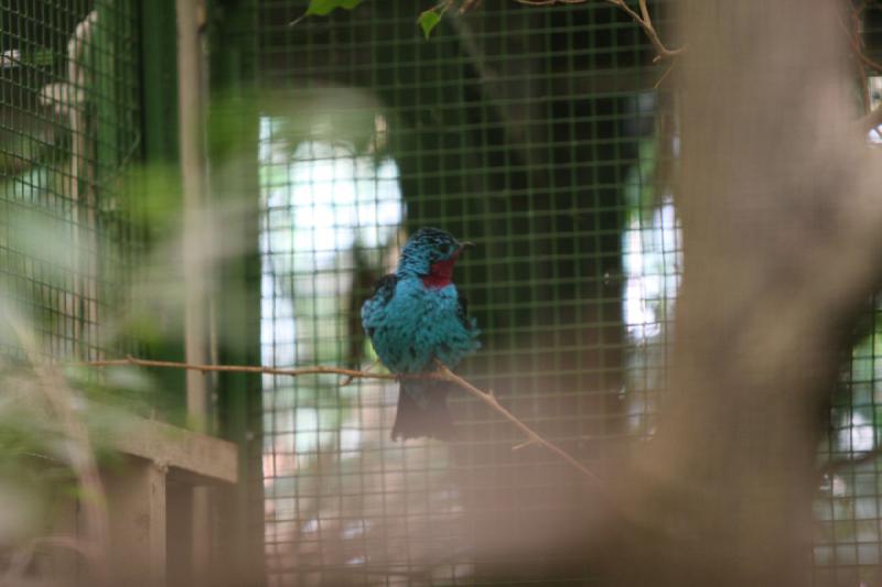 2010-04-13 13:44:10 ** Deutschland, Walsrode, Zoo ** 