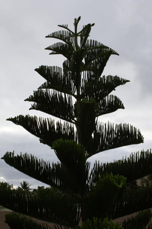 2011-11-28 08:54:50 ** Hawaiʻi, Kauaʻi ** 