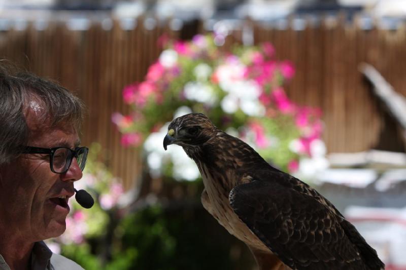 2011-07-15 13:12:04 ** Utah, Zoo ** 