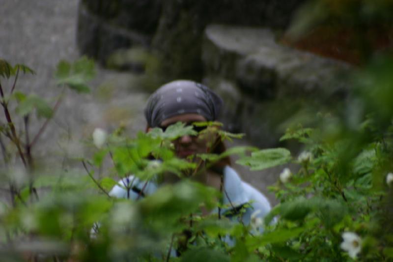 2005-05-06 17:41:19 ** Katie, Multnomah Falls ** Katie.