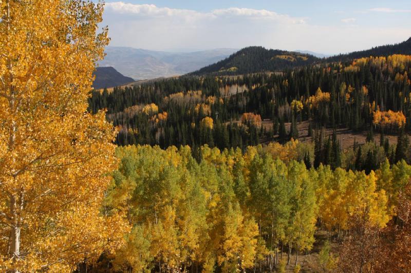 2010-10-02 15:18:22 ** Big Cottonwood Canyon, Utah ** 