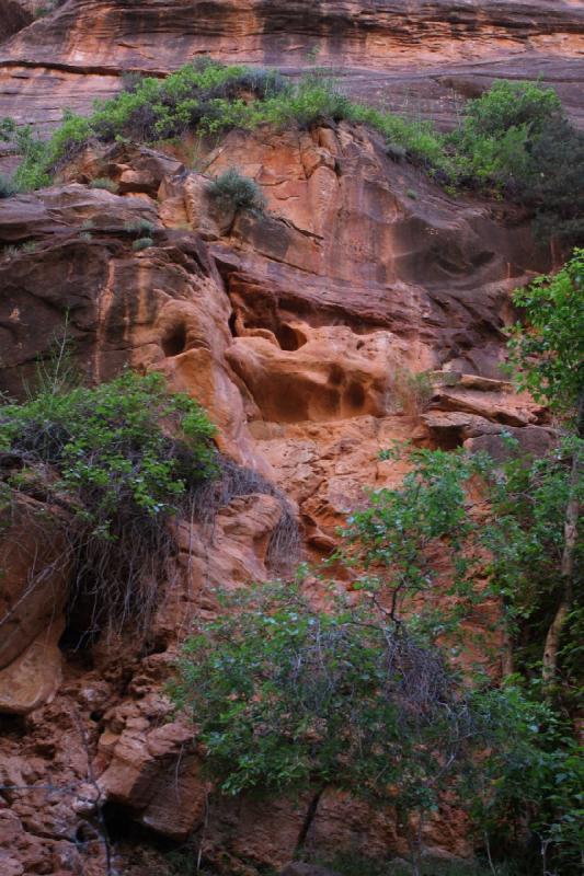 2011-05-29 09:31:11 ** Utah, Zion Nationalpark ** 