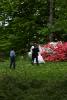 Bilder der Hochzeit sind im Park schöner als zwischen den Gebäuden.