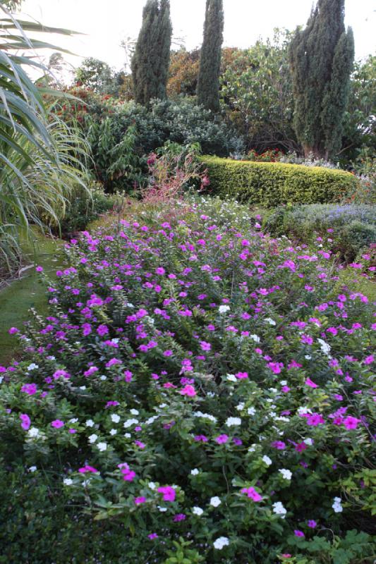 2011-11-27 08:41:24 ** Botanischer Garten, Hawaiʻi, Kauaʻi ** 