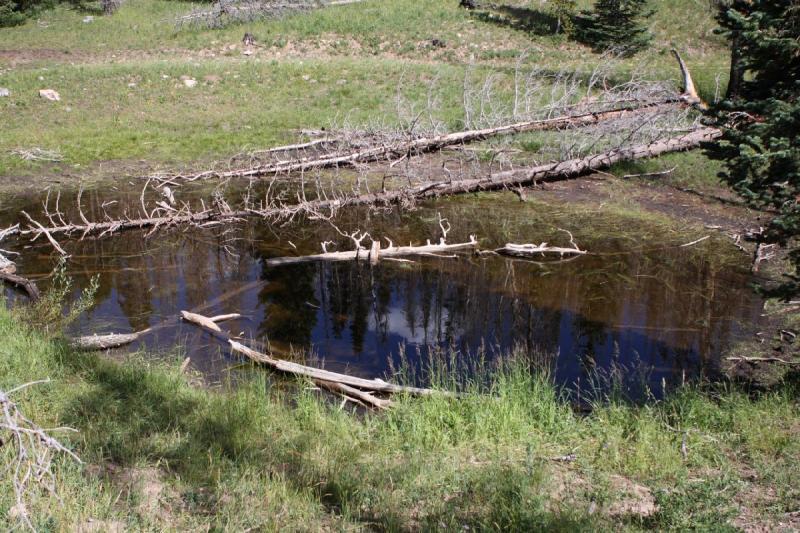 2010-08-21 15:36:09 ** Uinta Mountains ** 