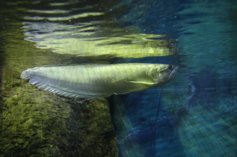 2012-05-19 07:54:27 ** Aquarium, Utah, Zoo ** 