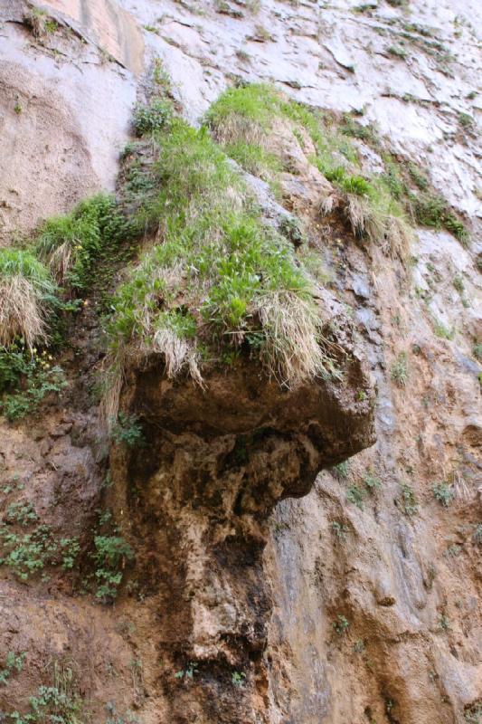 2011-05-29 09:44:19 ** Utah, Zion National Park ** 