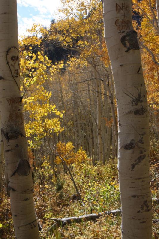 2010-10-01 14:10:32 ** Big Cottonwood Canyon, Utah ** 