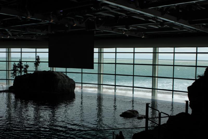 2014-03-12 12:16:16 ** Chicago, Illinois, Shedd Aquarium ** 