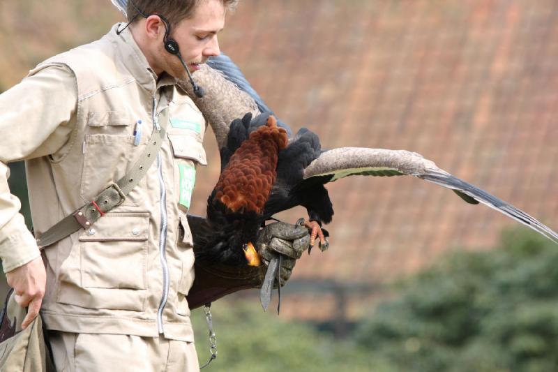 2010-04-13 14:34:06 ** Deutschland, Walsrode, Zoo ** 