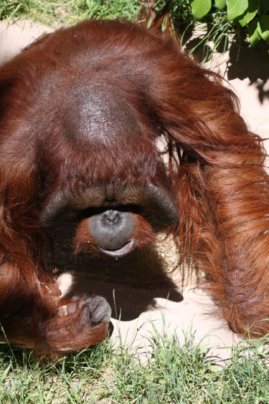 2011-07-15 14:10:22 ** Utah, Zoo ** 