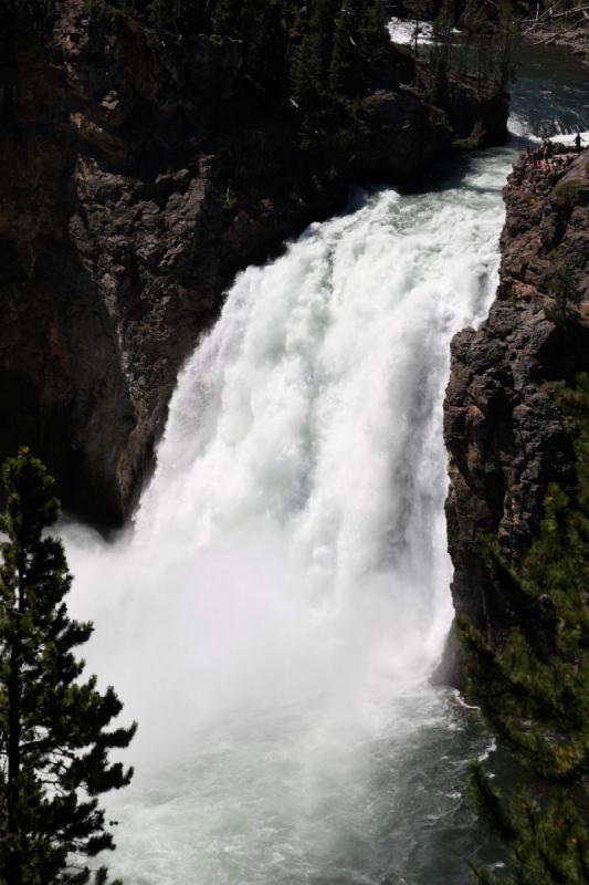 2008-08-16 12:38:33 ** Yellowstone National Park ** 