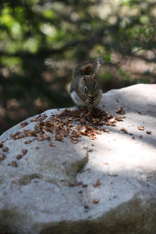 2012-06-12 11:16:42 ** Silver Lake, Utah ** 