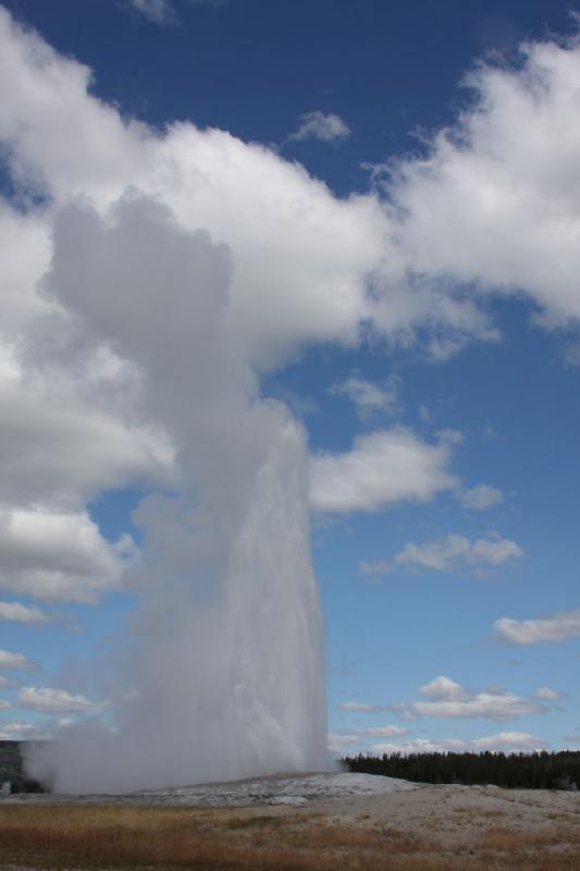 2008-08-15 11:39:51 ** Yellowstone Nationalpark ** Old Faithful.