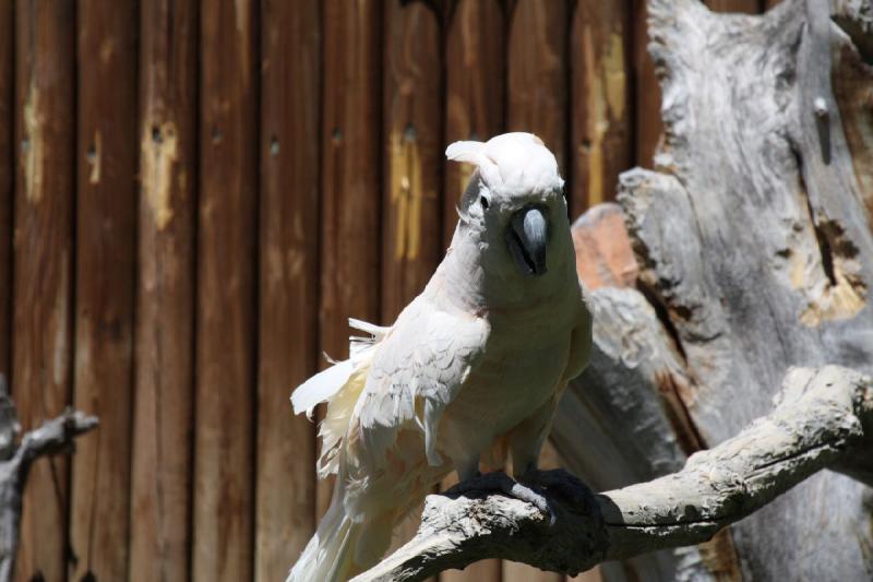 2011-07-15 14:47:14 ** Utah, Zoo ** 