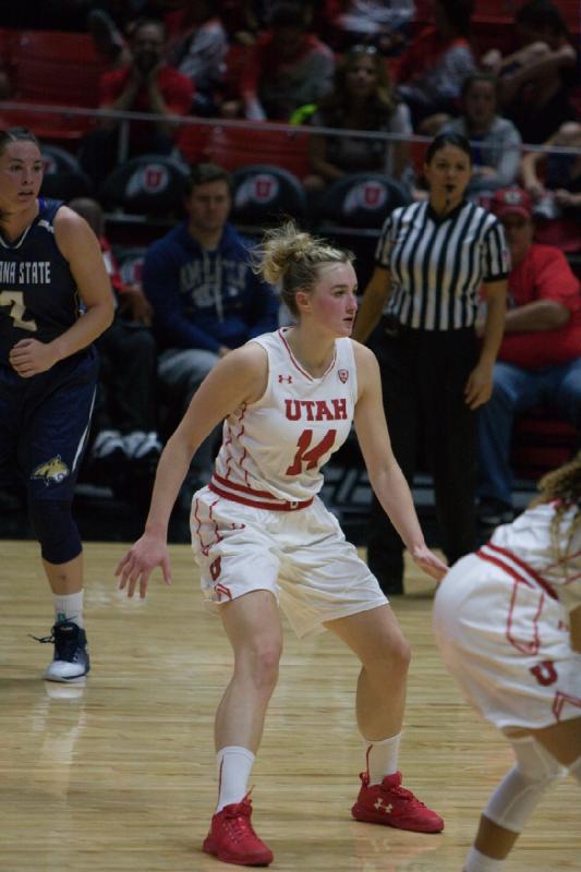 2016-11-12 14:20:51 ** Basketball, Daneesha Provo, Montana State, Paige Crozon, Utah Utes, Women's Basketball ** 