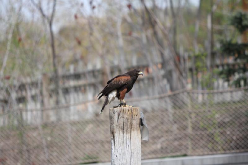 2011-05-07 11:21:12 ** Utah, Zoo ** 