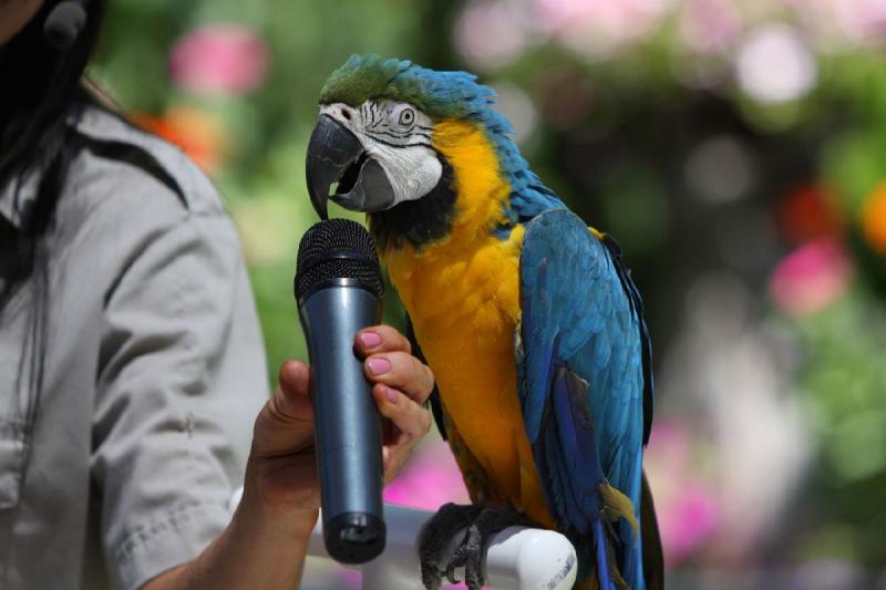 2011-07-15 13:13:08 ** Utah, Zoo ** 