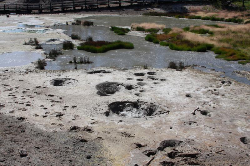 2008-08-16 11:24:47 ** Yellowstone Nationalpark ** 