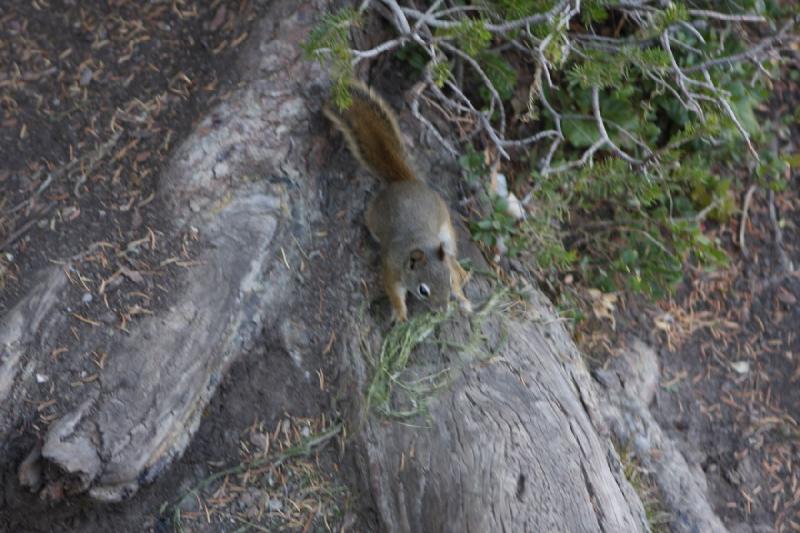 2010-10-01 14:54:09 ** Big Cottonwood Canyon, Utah ** 