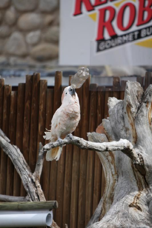 2011-05-07 10:54:53 ** Utah, Zoo ** 