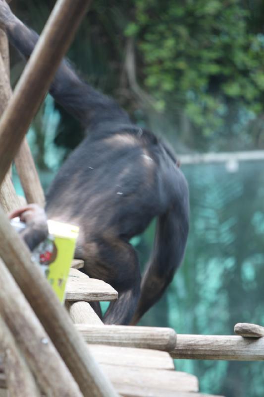 2010-04-10 15:00:53 ** Deutschland, München, Zoo ** 