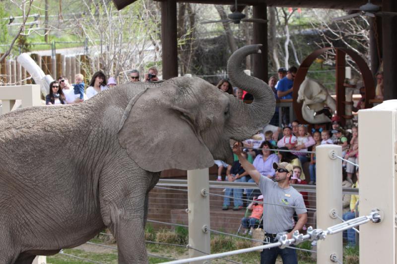 2011-05-07 10:32:43 ** Utah, Zoo ** 