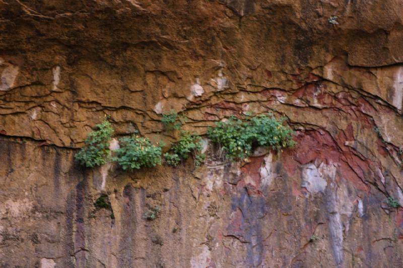 2011-05-29 09:36:42 ** Utah, Zion Nationalpark ** 