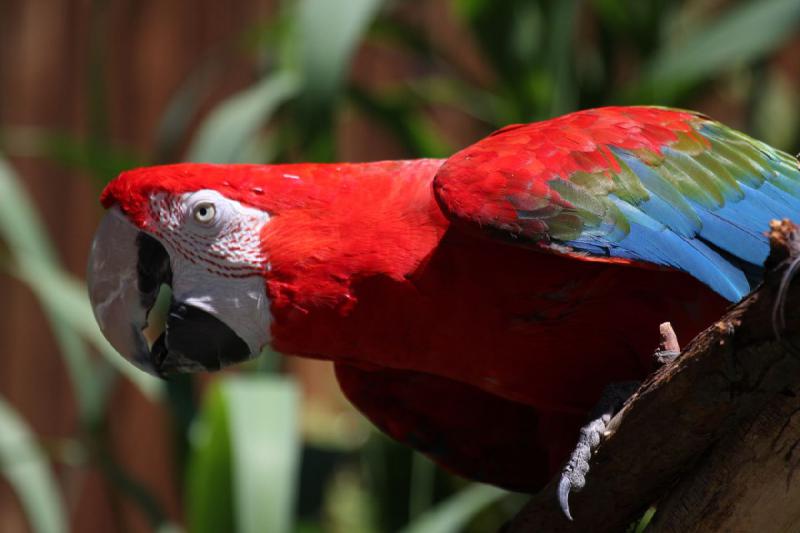 2011-07-15 14:55:37 ** Utah, Zoo ** 