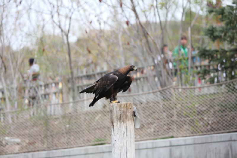 2011-05-07 11:18:37 ** Utah, Zoo ** 