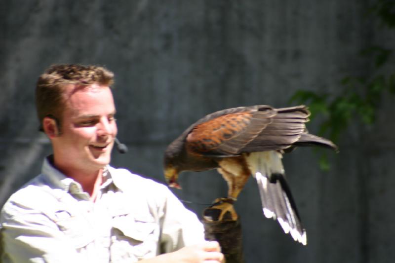 2007-06-18 11:27:22 ** Utah, Zoo ** Nach einigen Minuten hat Shawn dann doch Erfolg gehabt und den Vogel anlocken können.