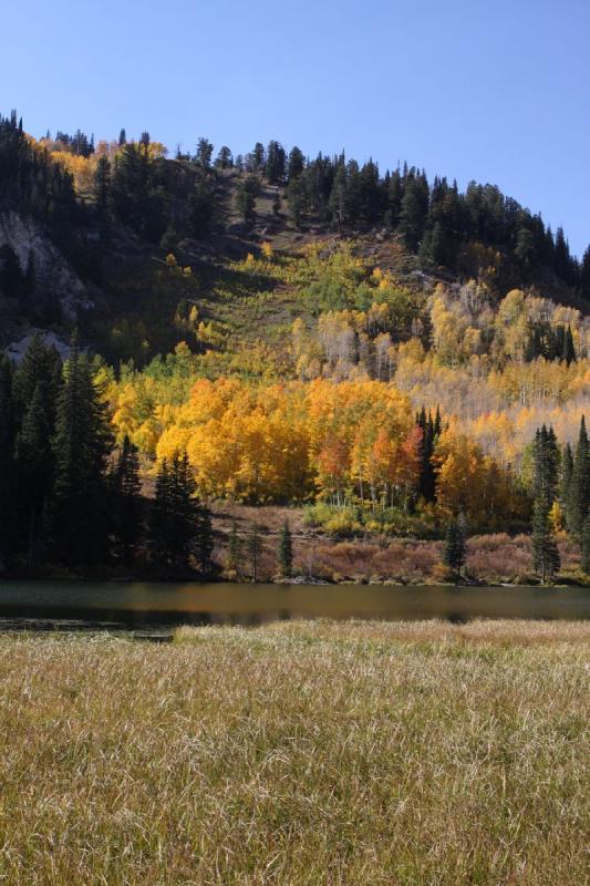 2010-10-01 14:59:55 ** Big Cottonwood Canyon, Utah ** 