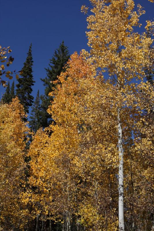 2010-10-01 14:01:35 ** Big Cottonwood Canyon, Utah ** 