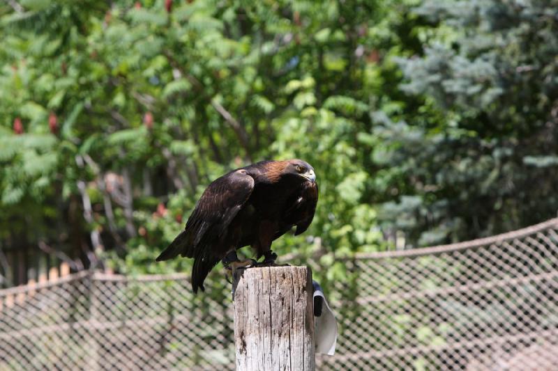 2011-07-15 13:21:18 ** Utah, Zoo ** 