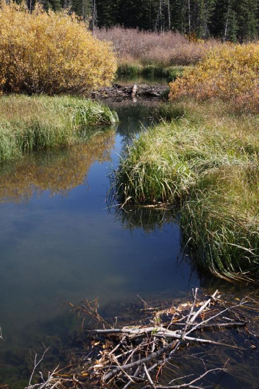 2010-10-01 15:03:27 ** Big Cottonwood Canyon, Utah ** 