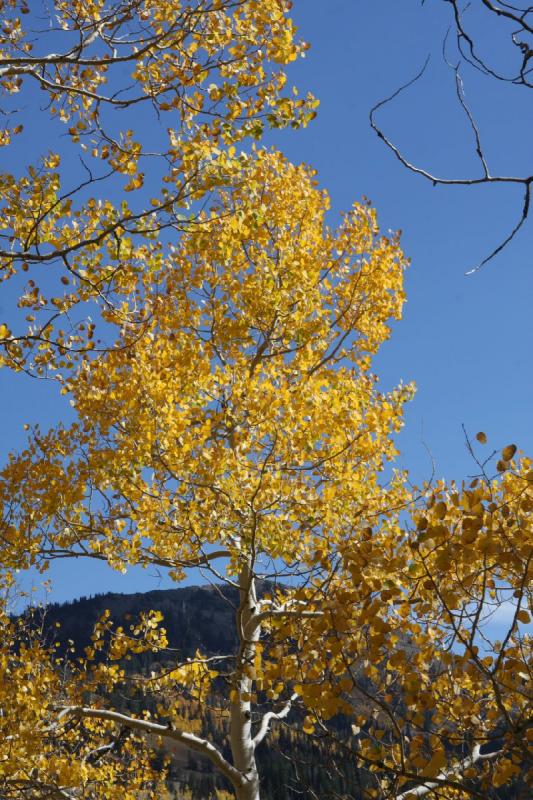 2010-10-01 14:12:50 ** Big Cottonwood Canyon, Utah ** 