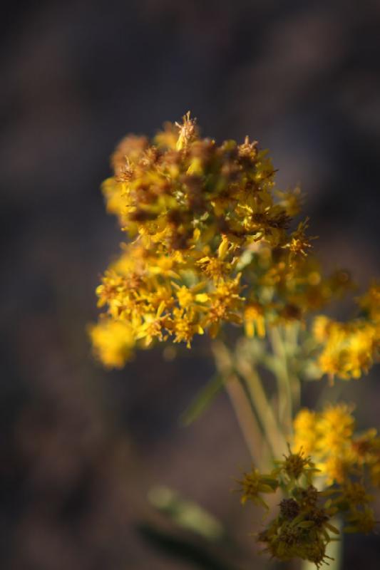 2010-08-20 19:25:09 ** Uinta Mountains ** 