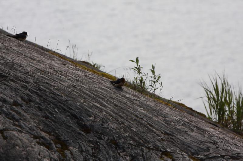 2012-06-20 16:46:23 ** Alaska, Juneau, Kreuzfahrt ** 