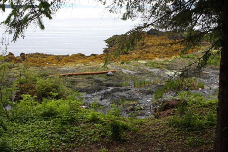 2012-06-19 09:52:31 ** Alaska, Cruise, Ketchikan, Totem Bight State Historic Park ** 