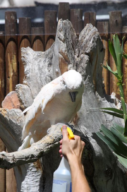 2011-07-15 14:47:45 ** Utah, Zoo ** 