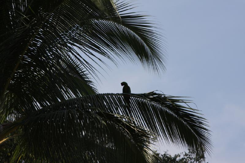 2012-11-20 11:13:10 ** Puerto Vallarta ** 