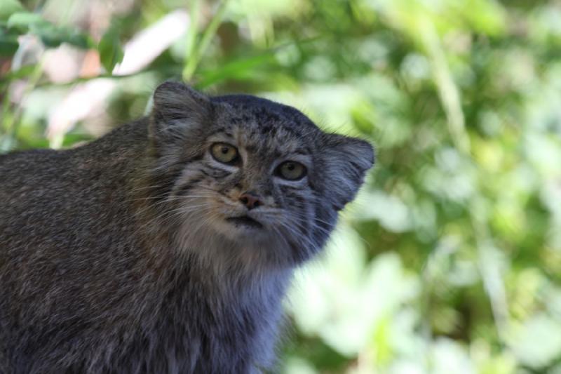 2011-07-16 08:13:12 ** Utah, Zoo ** 