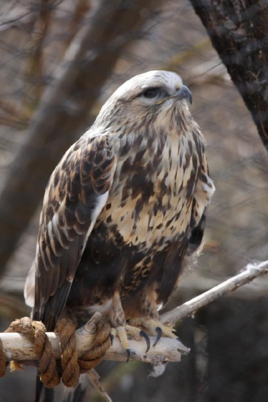 2012-03-25 13:30:57 ** Utah, Zoo ** 