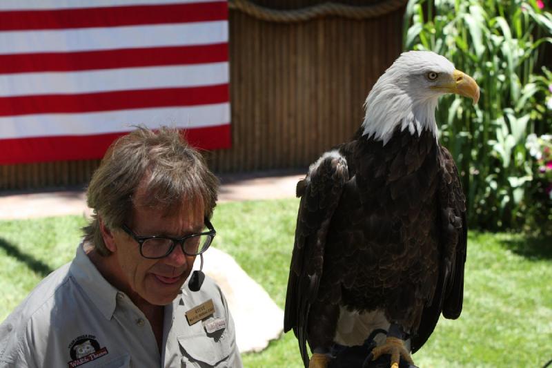 2011-07-15 13:28:42 ** Utah, Weißkopfseeadler, Zoo ** 