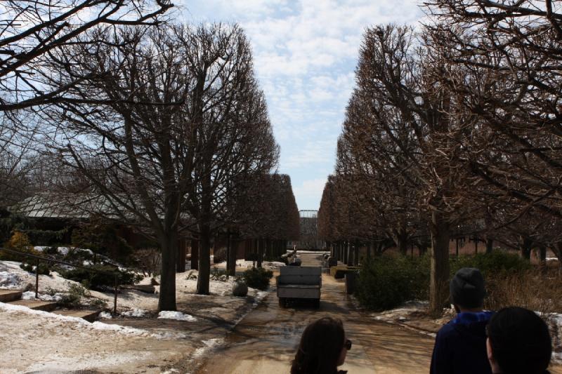 2014-03-14 12:50:28 ** Audrey, Botanical Garden, Chicago, Erica, Illinois, Jeff ** 