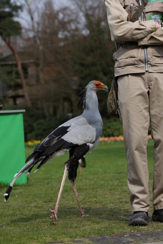 2010-04-13 14:40:46 ** Deutschland, Walsrode, Zoo ** 